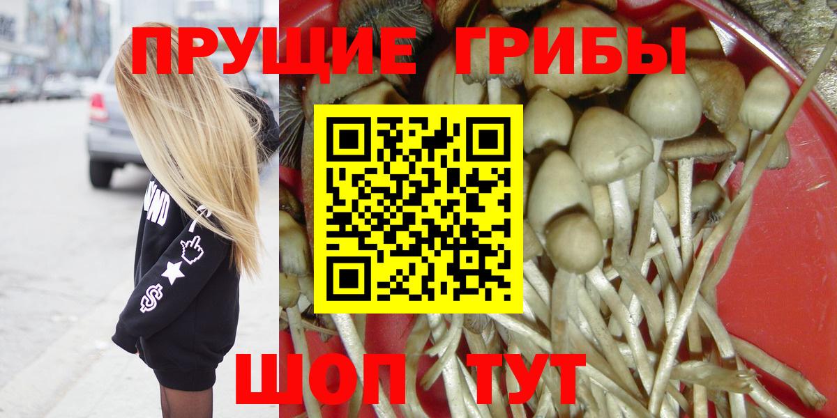 Псилоцибиновые грибы MAGIC MUSHROOMS Новороссийск